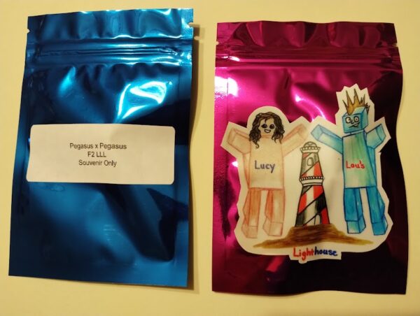 Pegasus (London Pound Cake x Unicorn Poop)