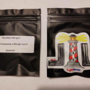 Brazilian Mangos (Brazil Amazonia x Mango Lassi)