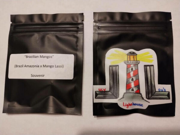 Brazilian Mangos (Brazil Amazonia x Mango Lassi)