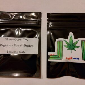 Green Goblin Two (Pegasus x Sowah Sherbet)