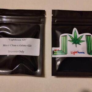 Lighthouse 420 (Mister Clean x Gelato 420)