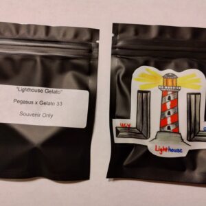 Lighthouse Gelato (Pegasus x Gelato 33